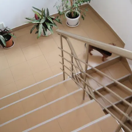 Plamar Guest house 2*